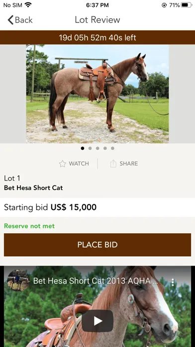 تصاویر Dan Post Quarter Horse Auction