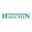 Halcyon Auctions