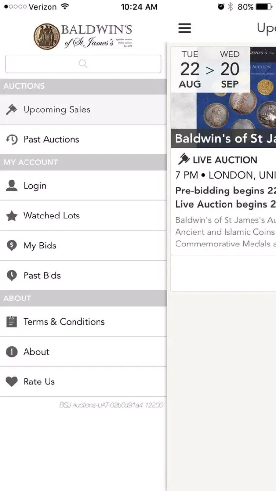 Screenshot di BSJ Auctions