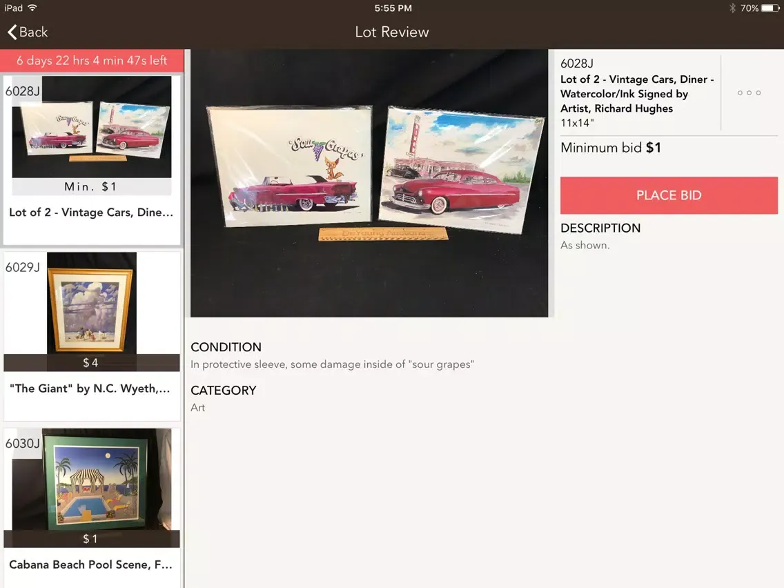 DeYoung Auctions iPad  Screenshots