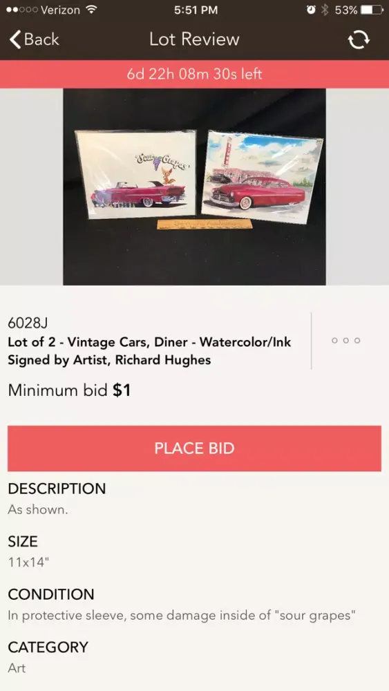 DeYoung Auctions Screenshots