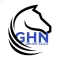 GHN Online Sales