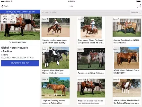 Capturas de tela do GHN Online Sales iPad 