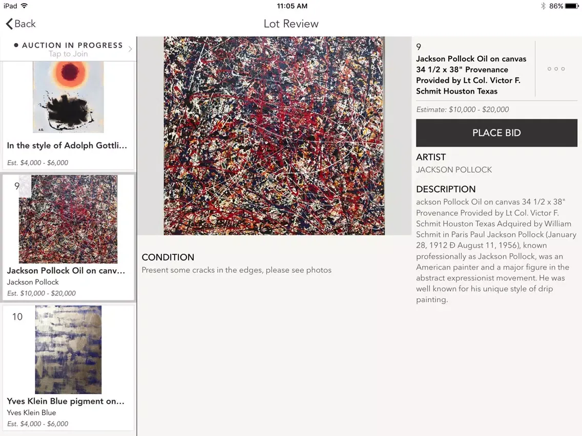 Capturas de tela do International Art Auction Gallery iPad 