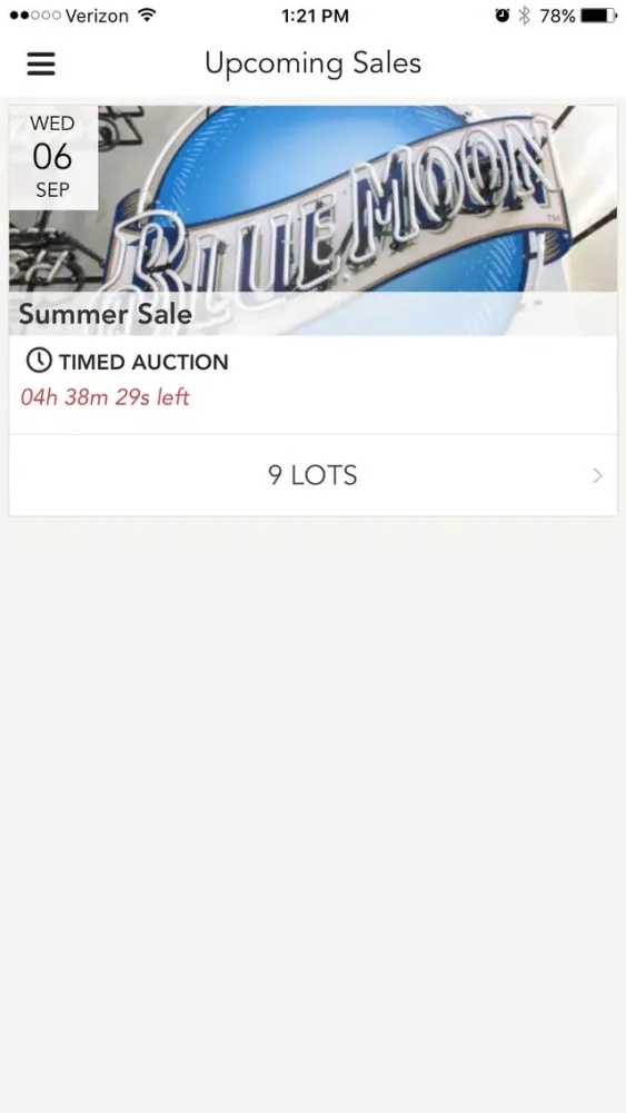 Скриншоты S-N-S Auction Services