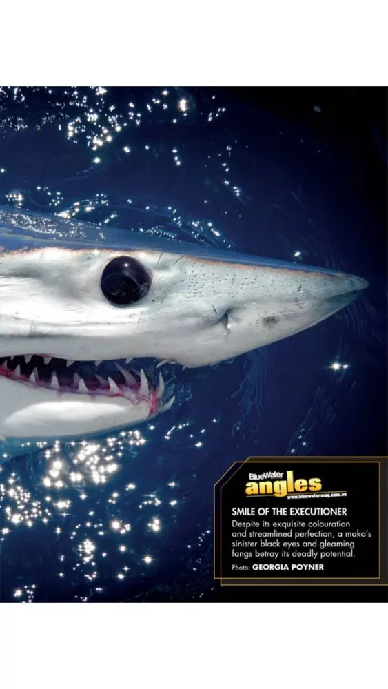 Screenshot di BlueWater Boats and Sportsfish