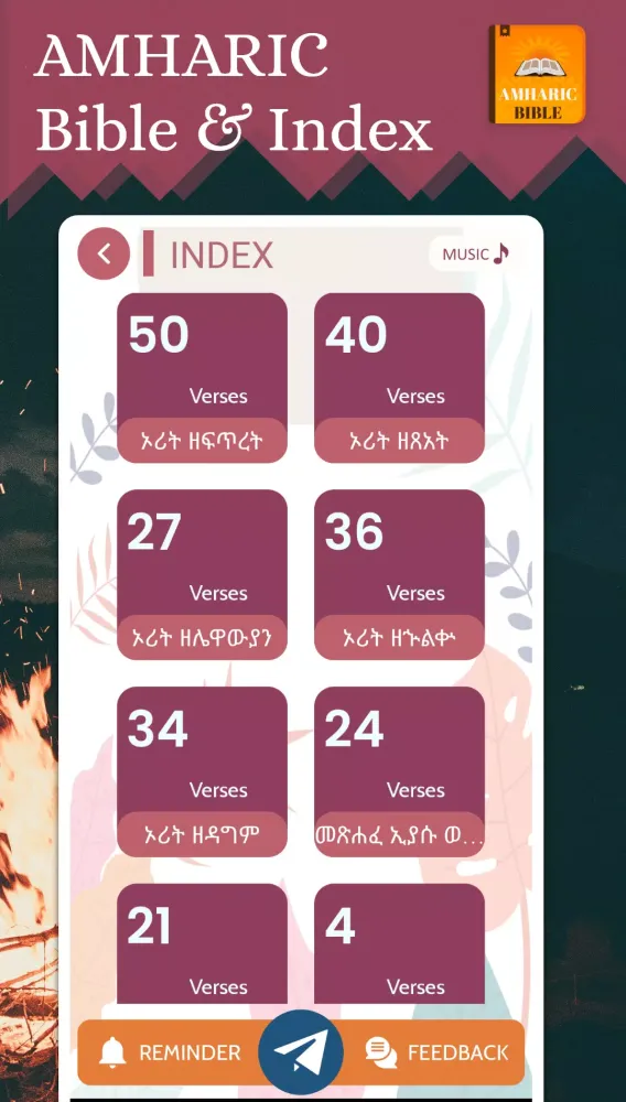 Amharic Bible Screenshots