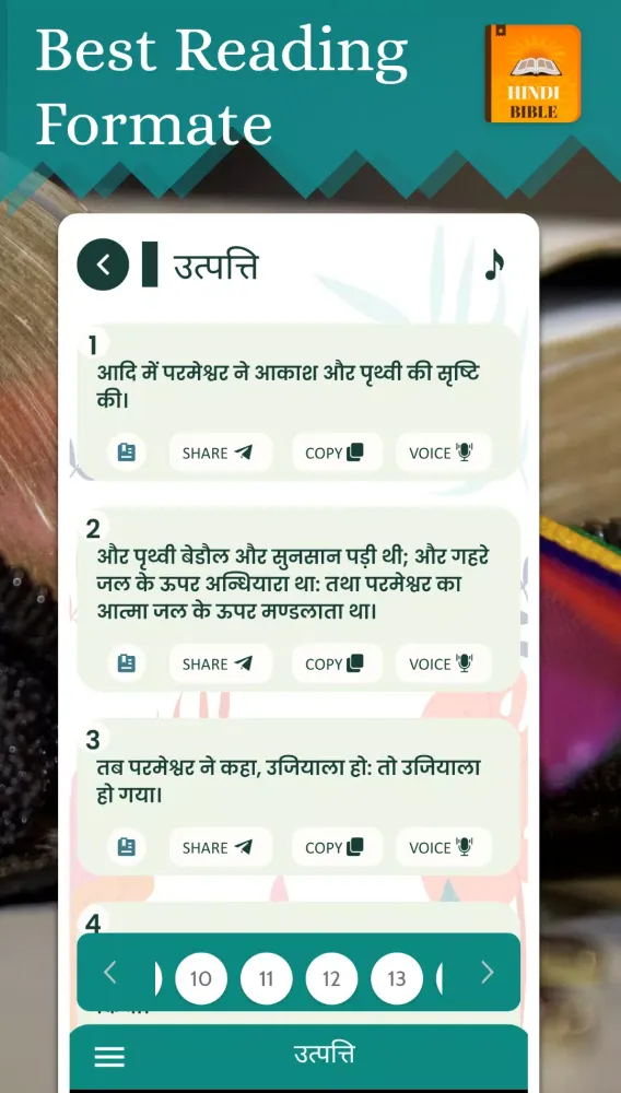 Capturas de pantalla de Hindi Bible