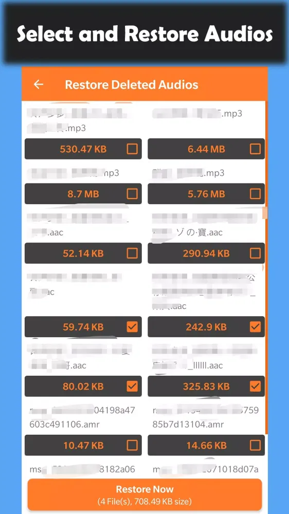 Deleted Audio Recovery Ekran Görüntüleri
