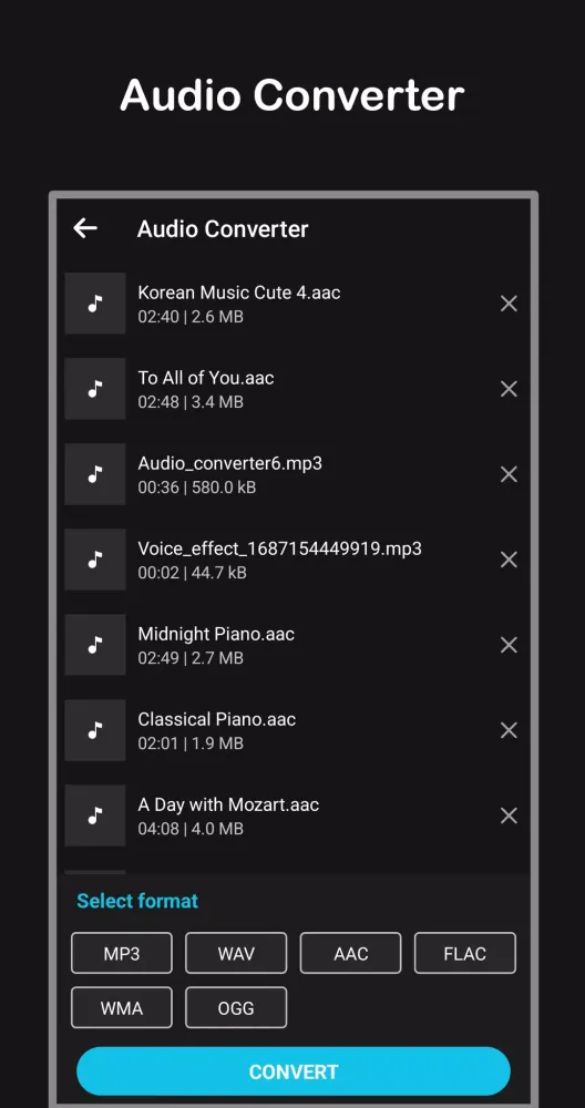 Zrzuty ekranu Video Converter