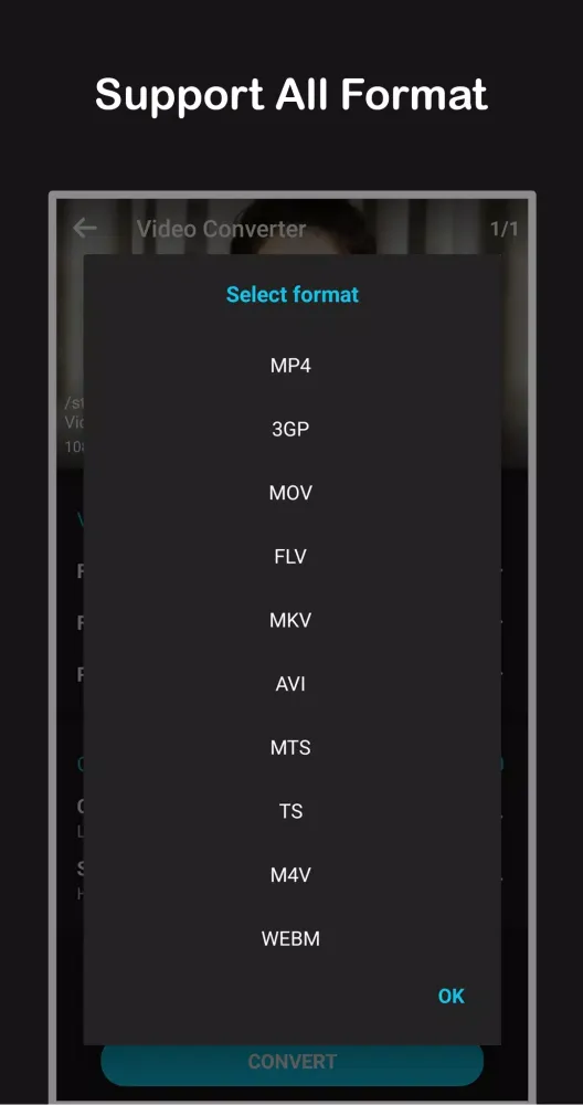 Zrzuty ekranu Video Converter