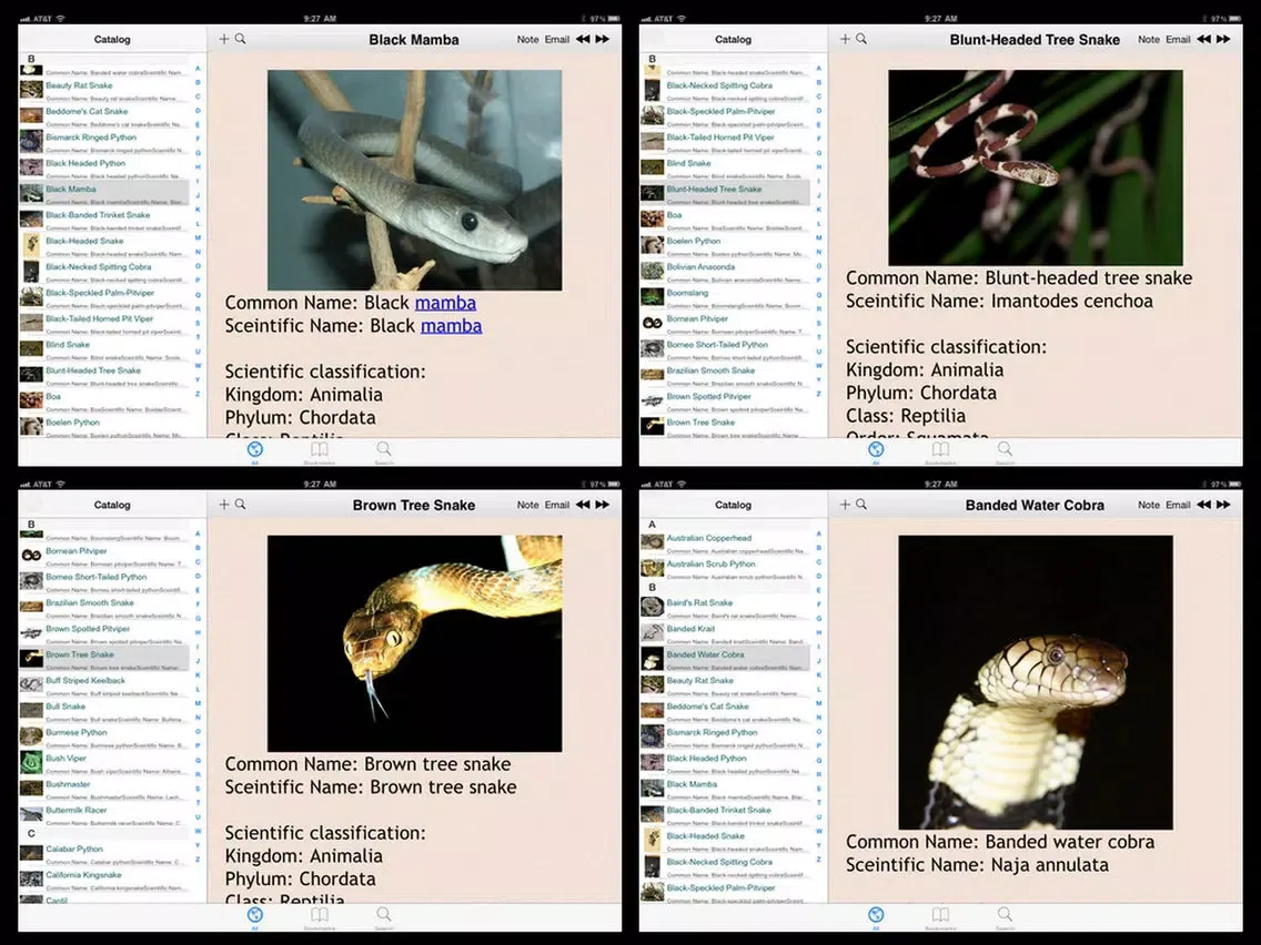 Скриншоты Snakes Encyclopedia Plus+ iPad 