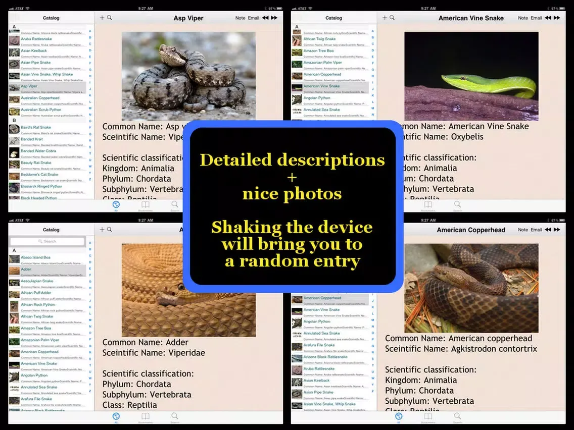 Скриншоты Snakes Encyclopedia Plus+ iPad 