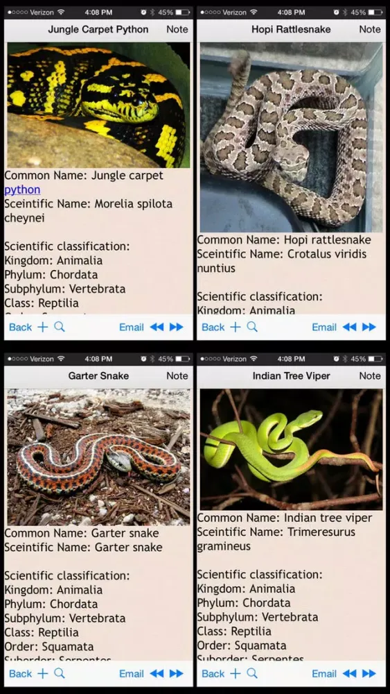 Скриншоты Snakes Encyclopedia Plus+