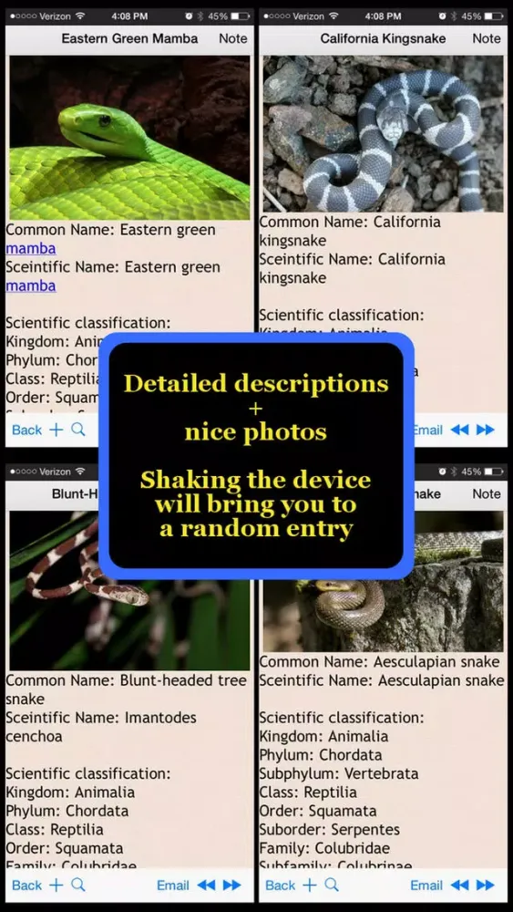 Скриншоты Snakes Encyclopedia Plus+