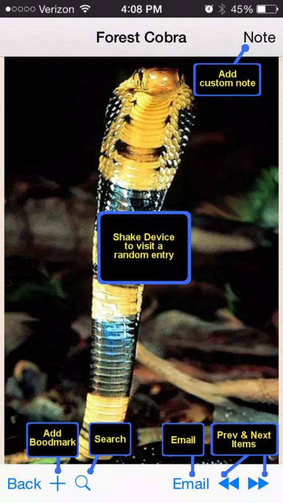 Скриншоты Snakes Encyclopedia Plus+
