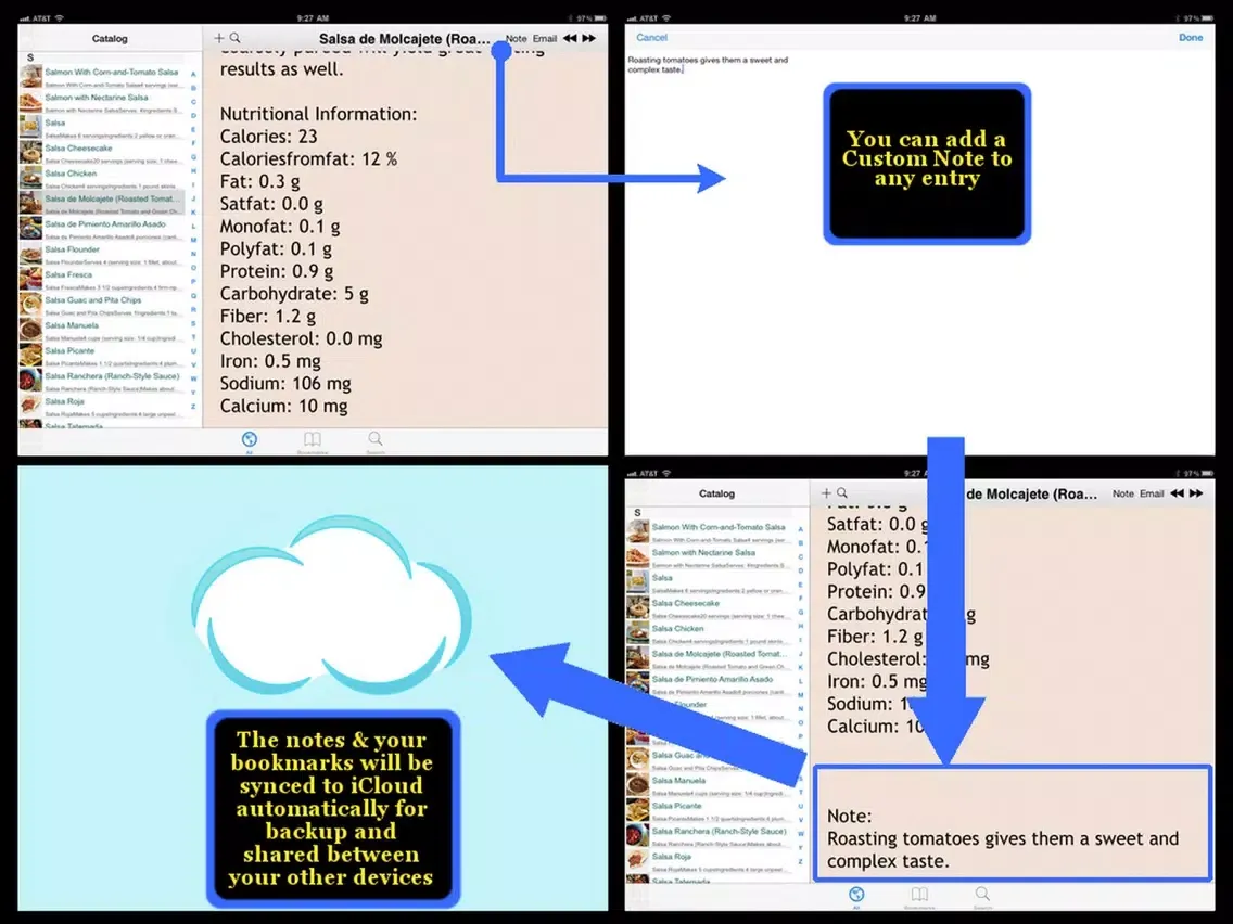 400 Salsa Recipes iPad  스크린샷