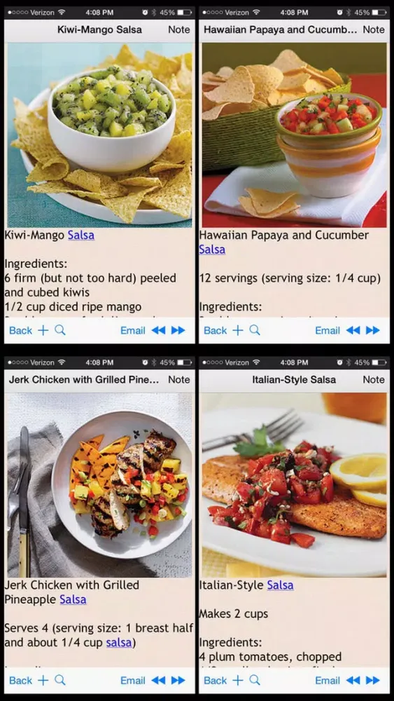 400 Salsa Recipes 스크린샷