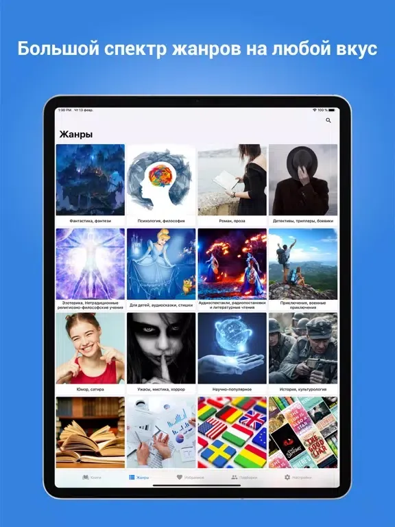 Аудиокниги на любой вкус iPad 应用截图