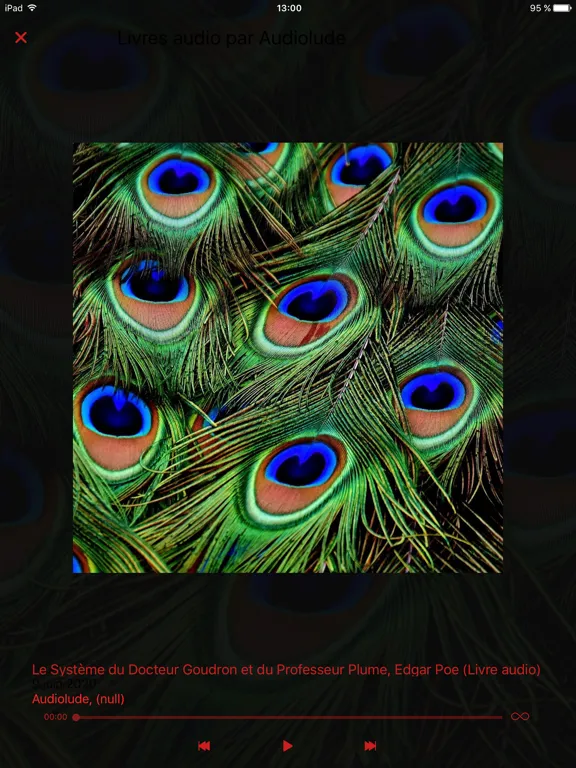 Screenshot di Livres audio classiques iPad 