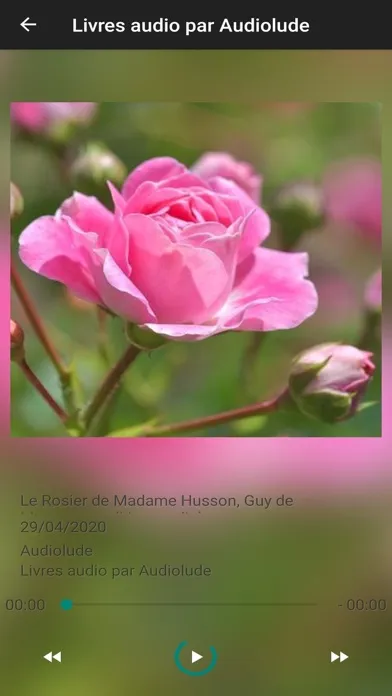 Screenshot di Livres audio classiques