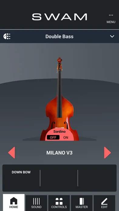 تصاویر SWAM Double Bass