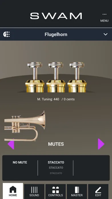 Zrzuty ekranu SWAM Flugelhorn