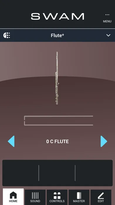 Ảnh chụp màn hình của SWAM Flute