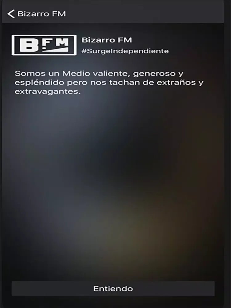 Скриншоты Bizarro FM iPad 
