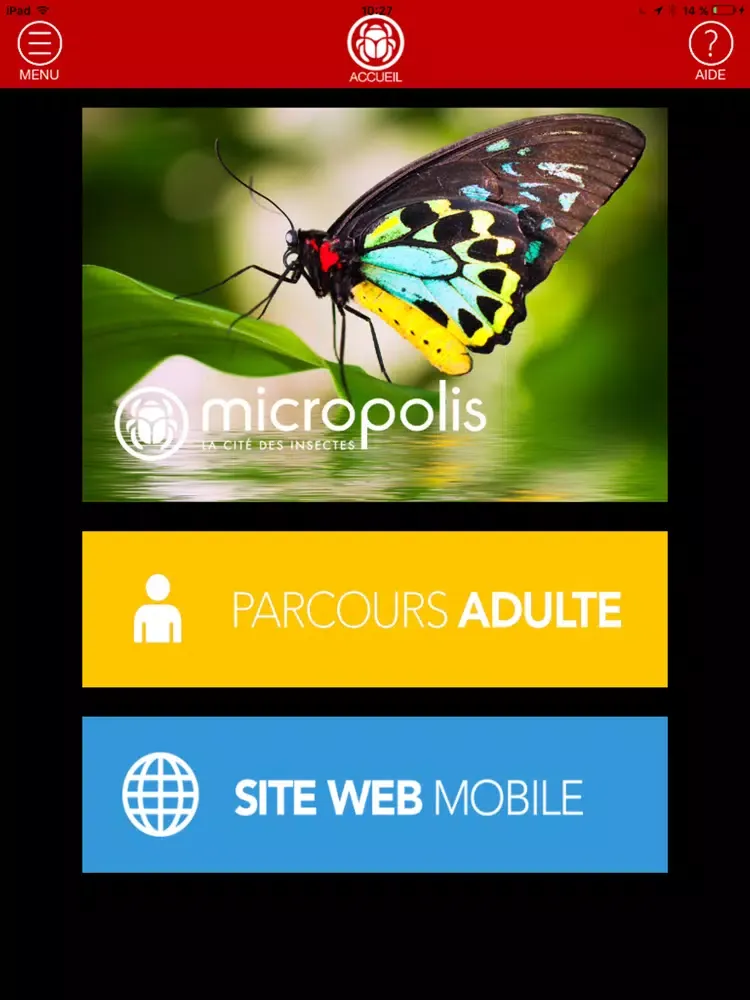 Micropolis pour adultes iPad 應用截圖