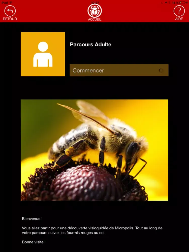Micropolis pour adultes iPad 應用截圖