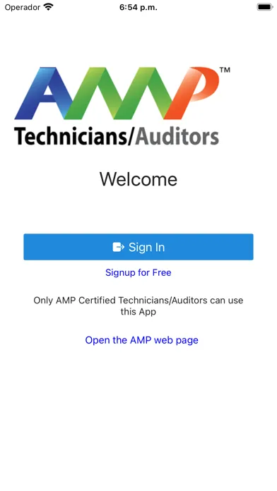 AMP Auditors Screenshots