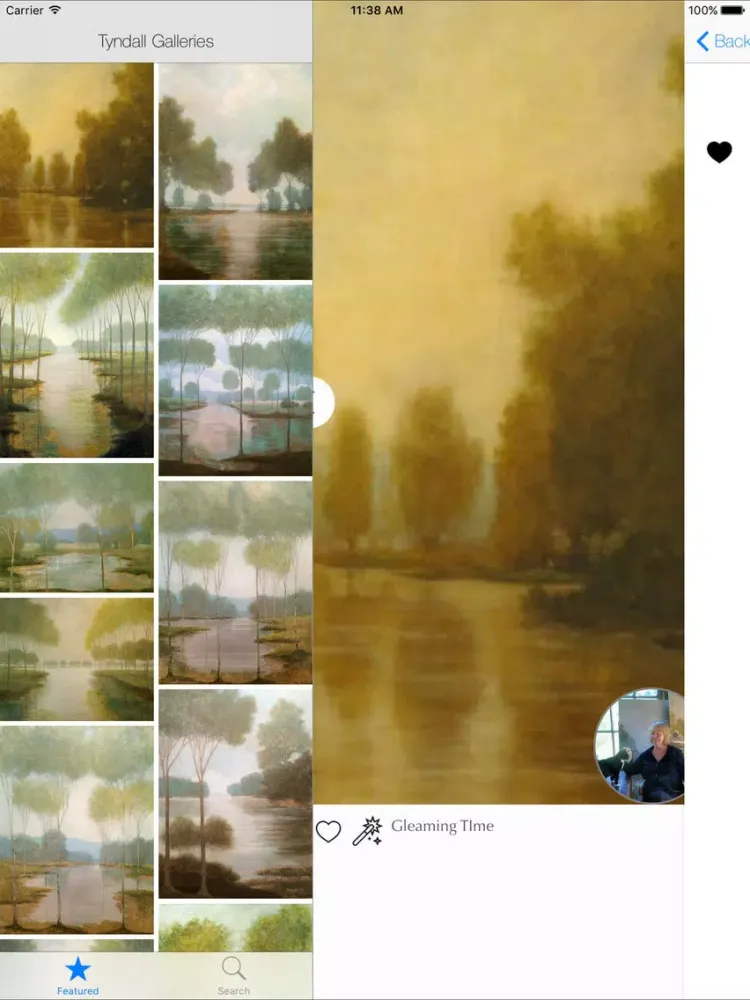 Screenshot di Tyndall Galleries iPad 