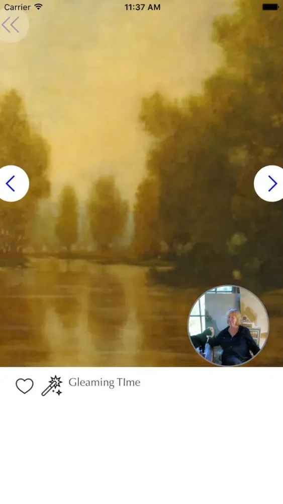Screenshot di Tyndall Galleries