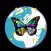 Augmented Earth