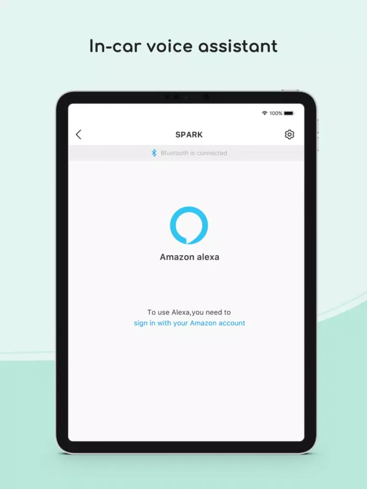 Zrzuty ekranu Aipower iPad 