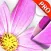 Sketch Agent Pro