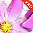 Sketch Agent Pro Sketch Agent Pro