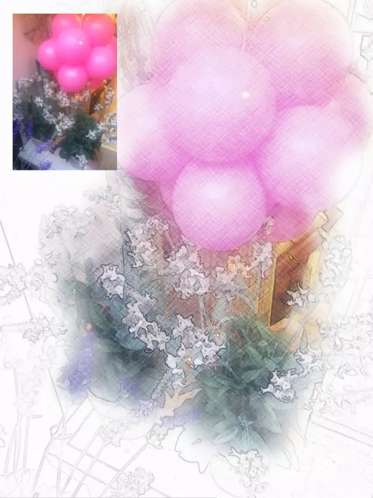 Sketch Agent Pro iPad  스크린샷