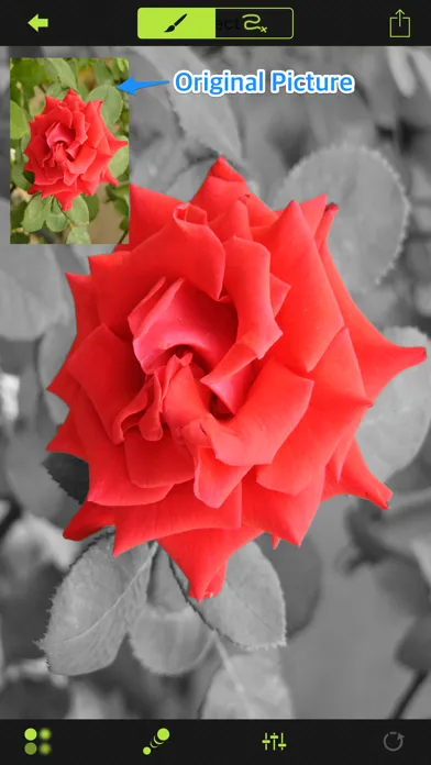 Capturas de tela do Touch Color Agent Lite