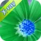 XRay Camera Agent