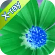 XRay Camera Agent XRay Camera Agent