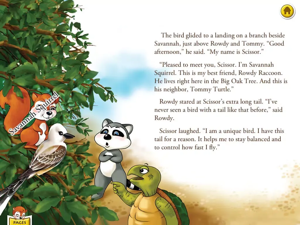 Rowdy Raccoon and the Turtle Who Wanted to Fly is an interactive story book for kids that brings to light that every person is unique and important; written by Donna C. Braymer, illustrated by Shachi Kale (iPad Lite Version; by Auryn Apps) iPad  Screenshots