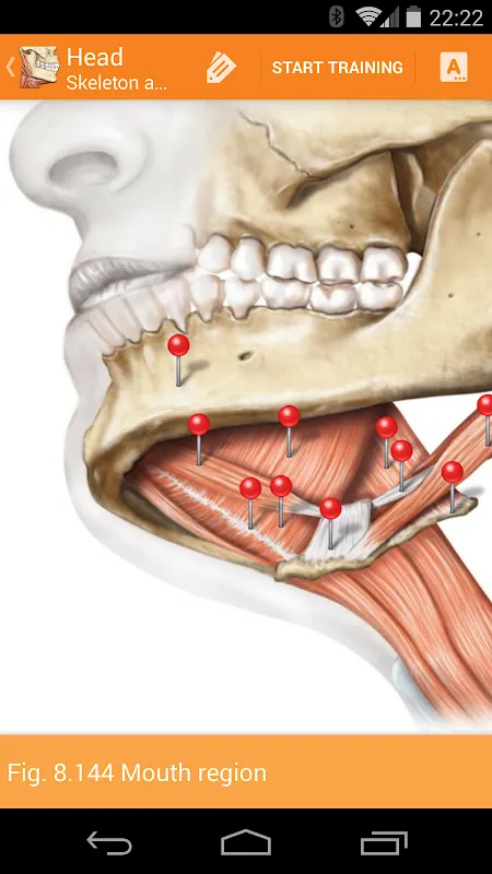 Sobotta Anatomy Ekran Görüntüleri