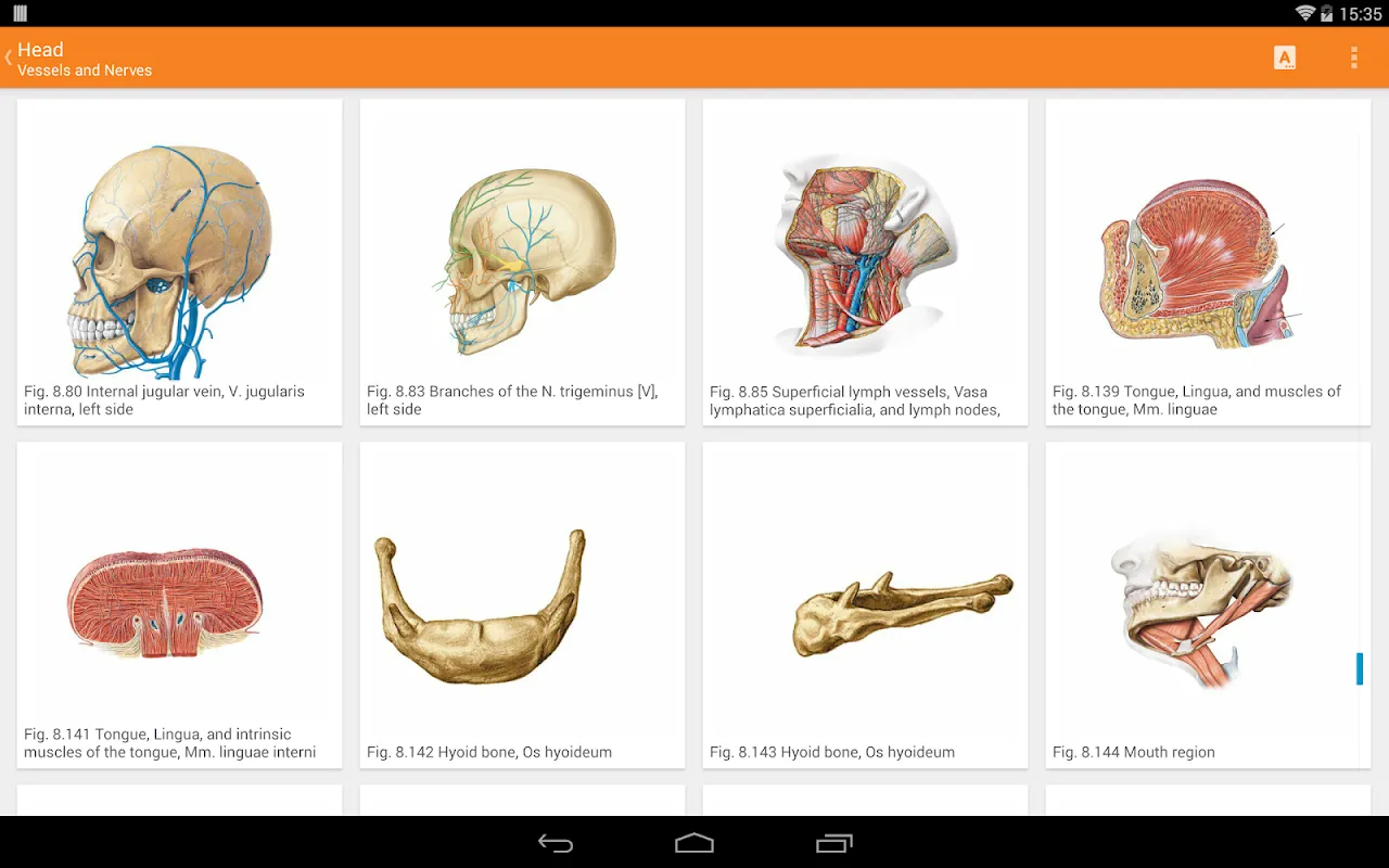 Sobotta Anatomy Ekran Görüntüleri