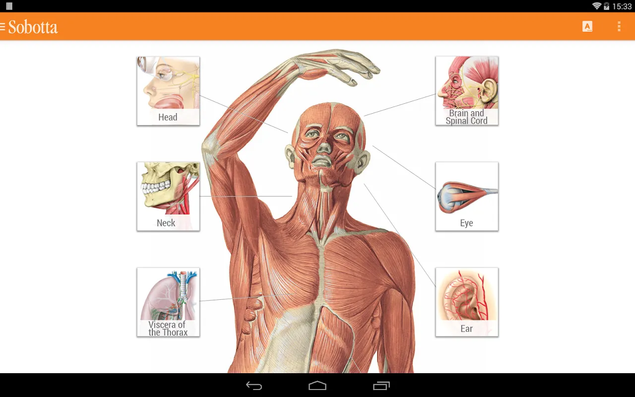 Sobotta Anatomy Ekran Görüntüleri