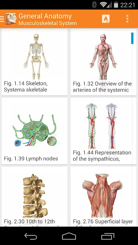 Sobotta Anatomy Ekran Görüntüleri