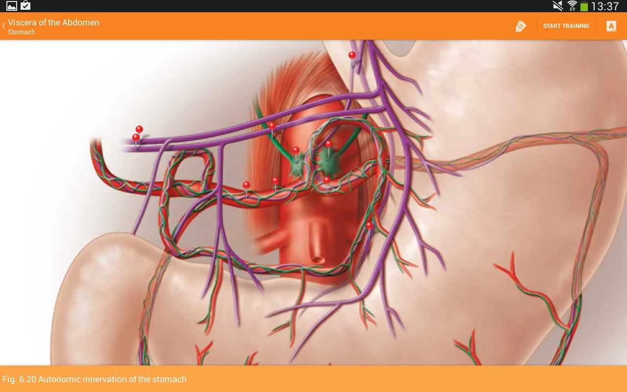 Sobotta Anatomy Ekran Görüntüleri