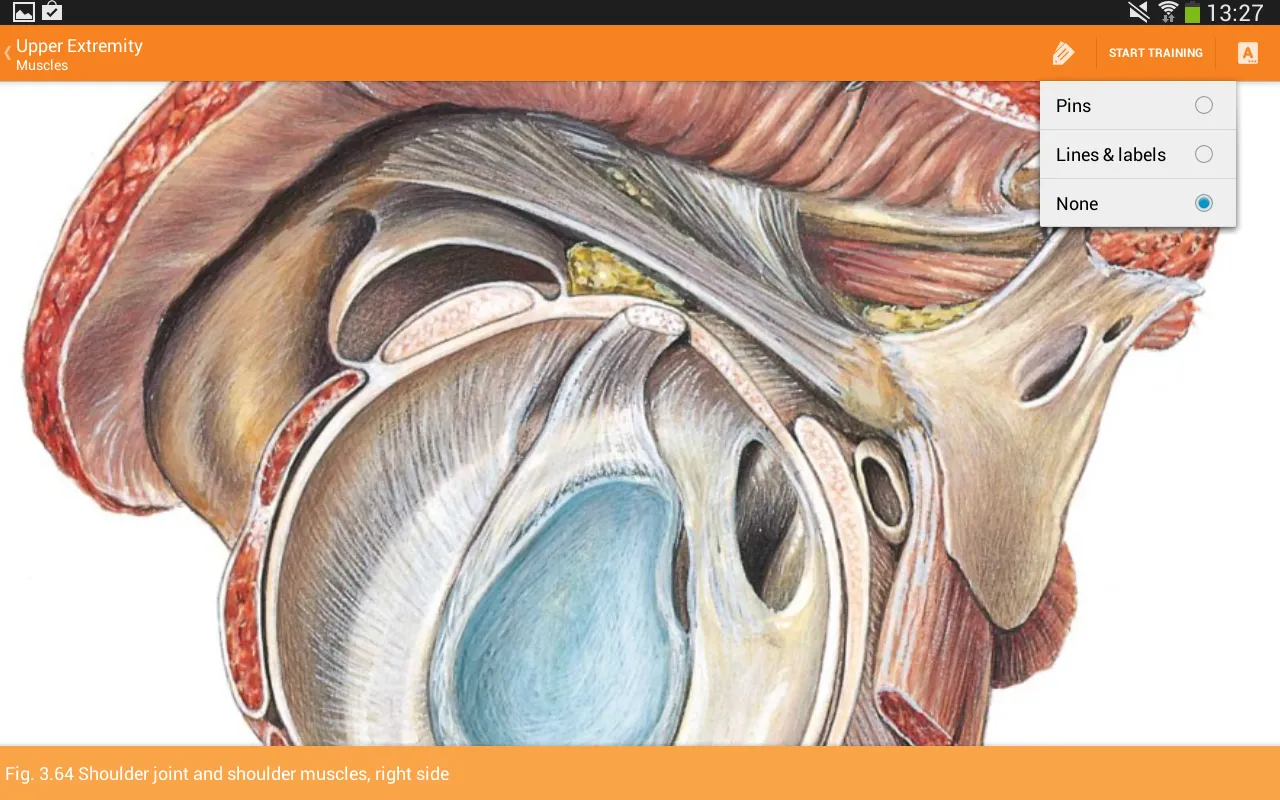 Sobotta Anatomy Ekran Görüntüleri