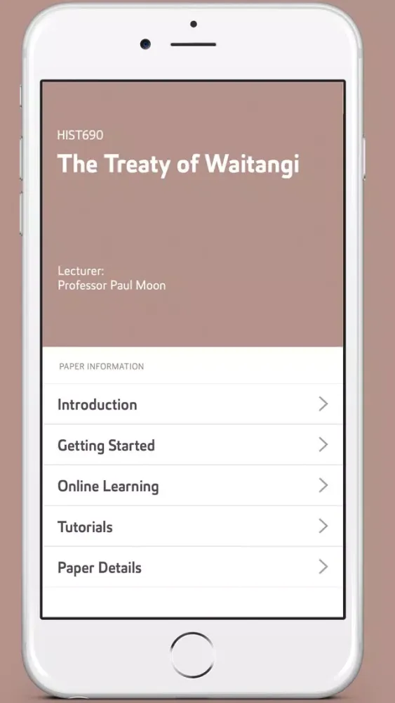 Capturas de pantalla de Treaty of Waitangi